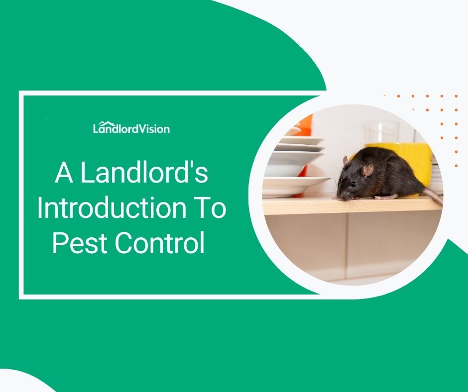 A Landlord's Introduction To Pest Control Landlord insider